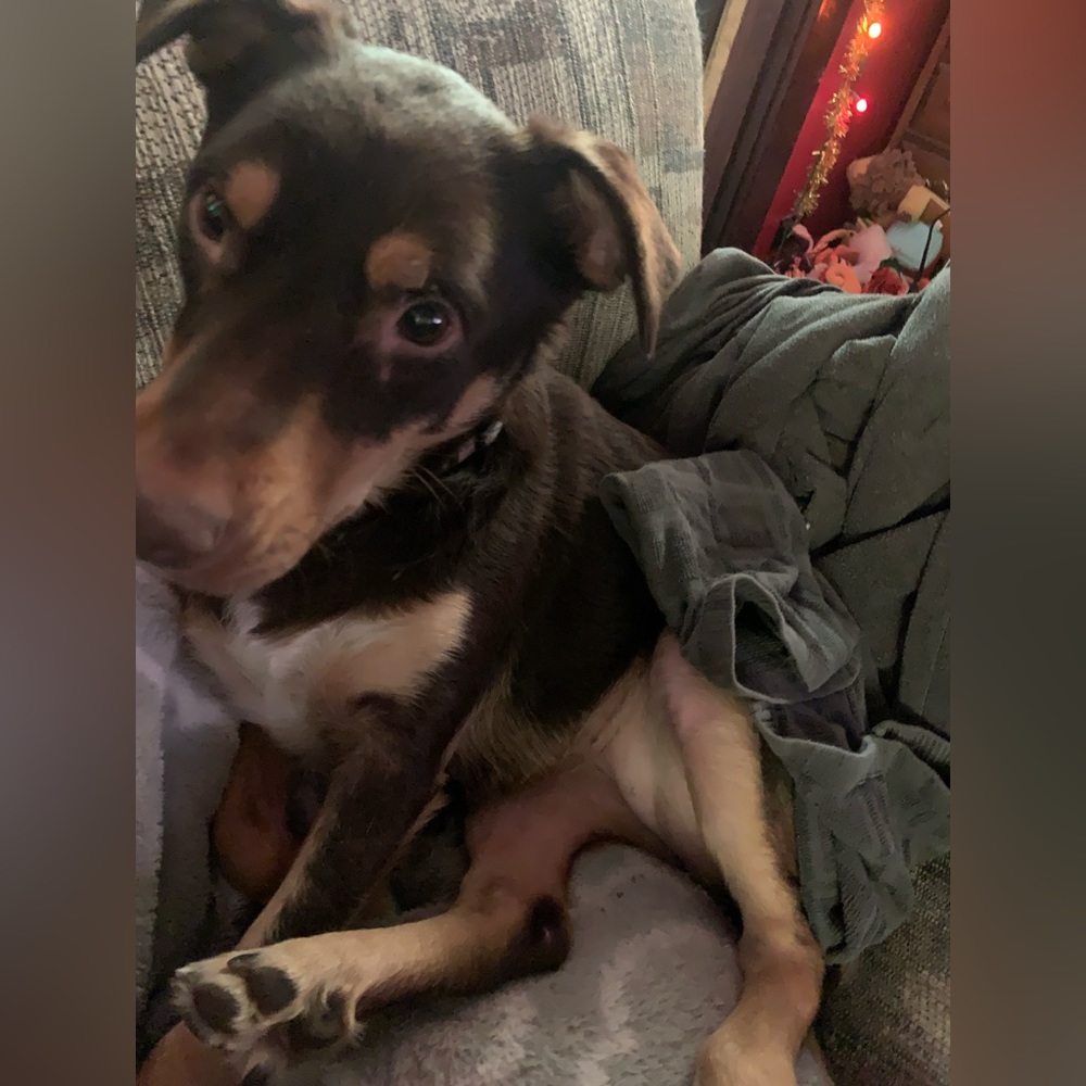 Still here! - Picture 10 of 12